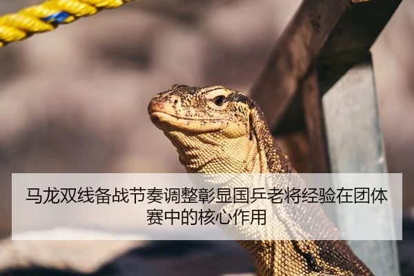 马龙双线备战节奏调整彰显国乒老将经验在团体赛中的核心作用