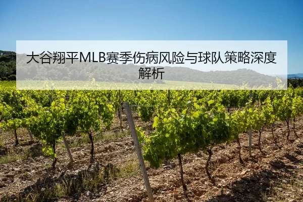 大谷翔平MLB赛季伤病风险与球队策略深度解析